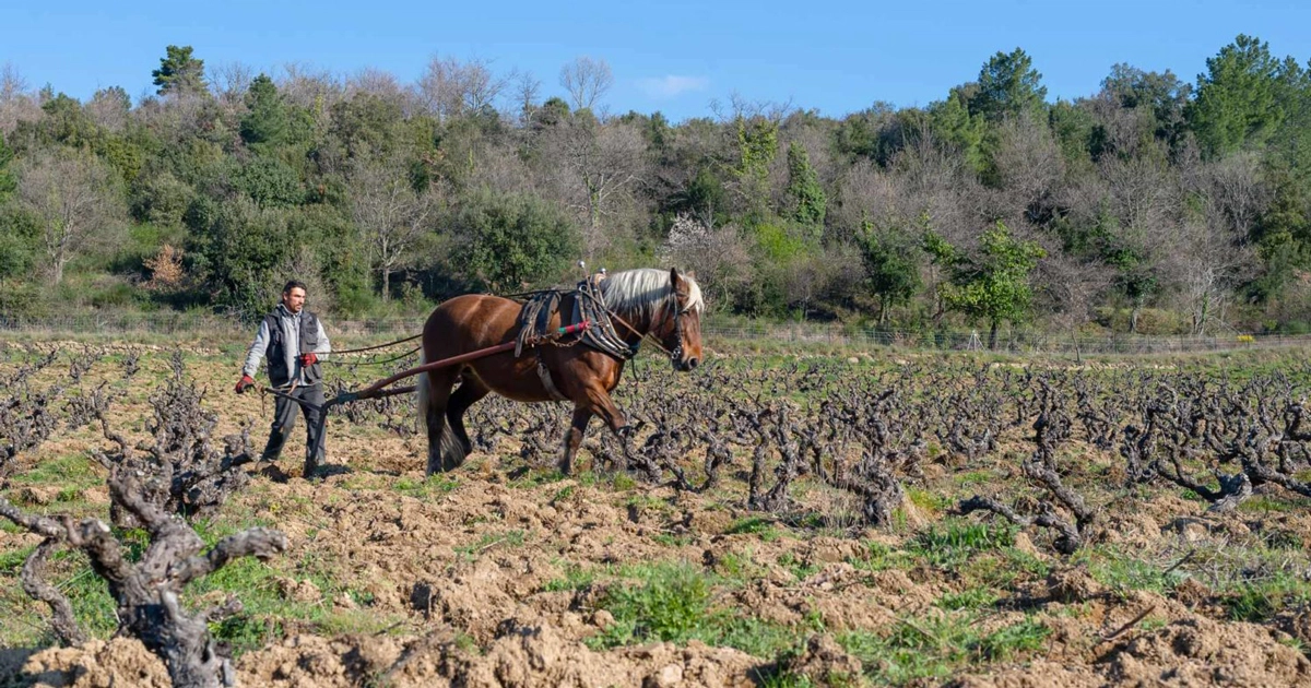 photo de Domaine Aïchoux