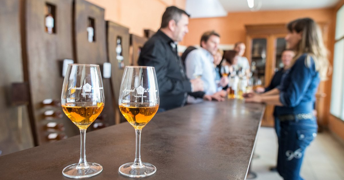 photo de Arnaud de Villeneuve - Rivesaltes