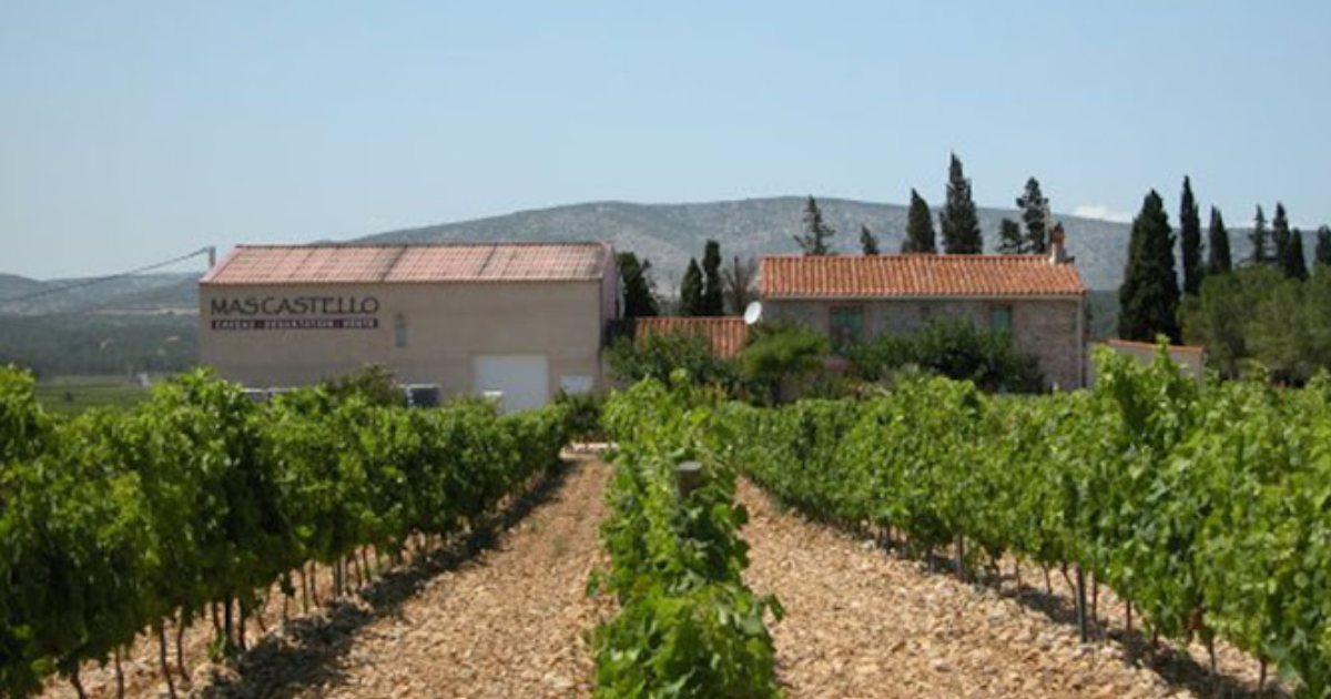 photo de Domaine Cachau Dubournais