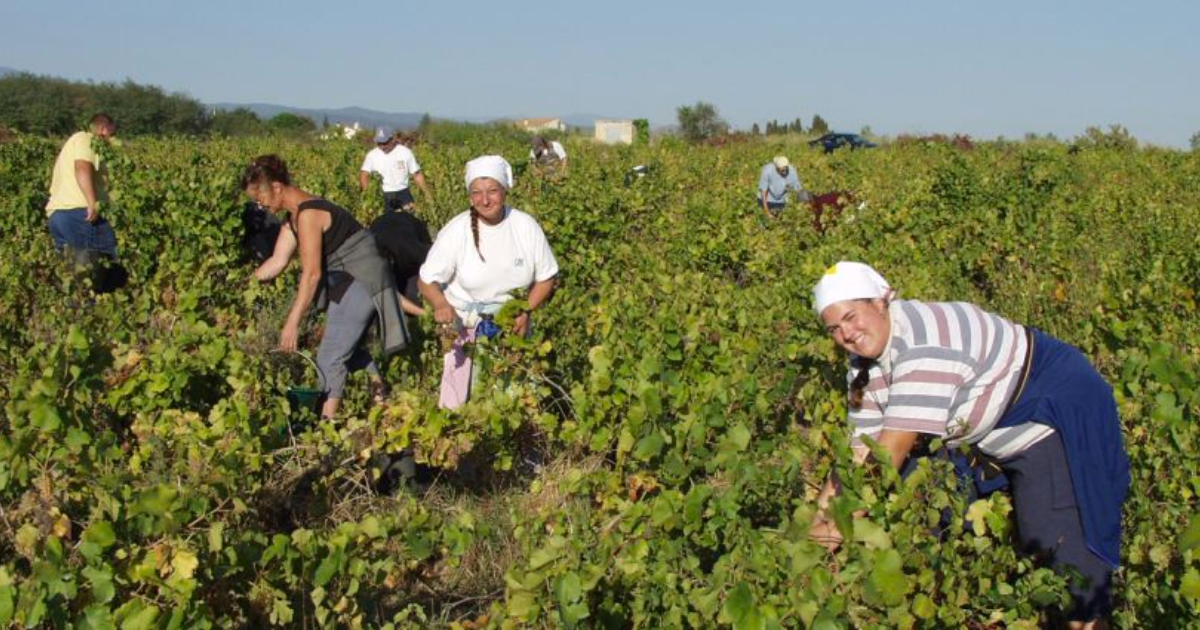 photo de Clos Massotte