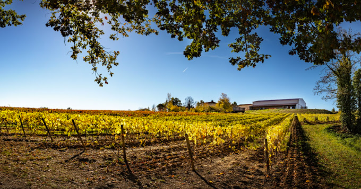 photo de Domaine du Grand chêne