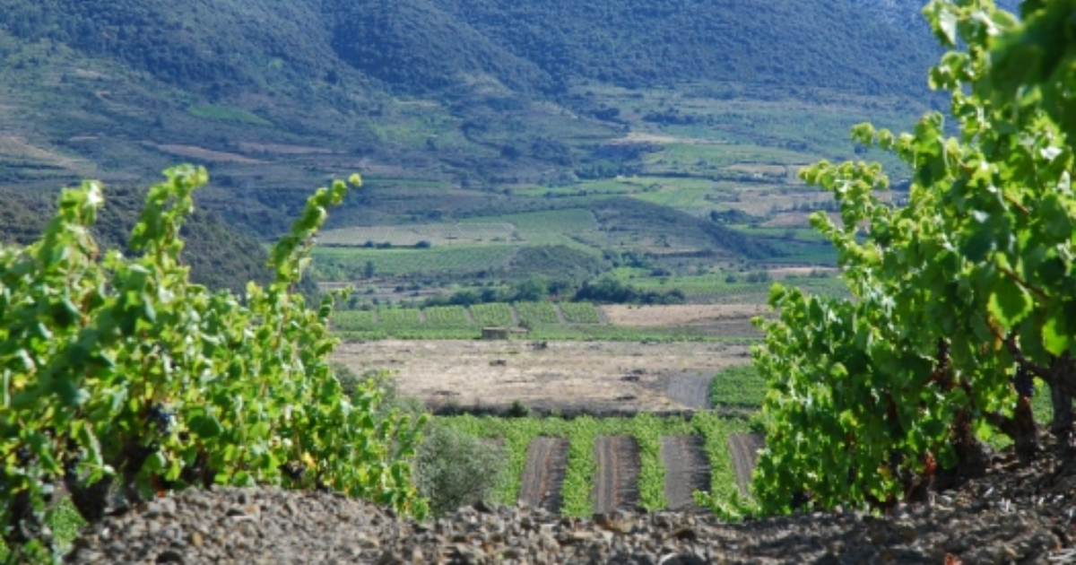 photo de Domaine La Petite Baigneuse