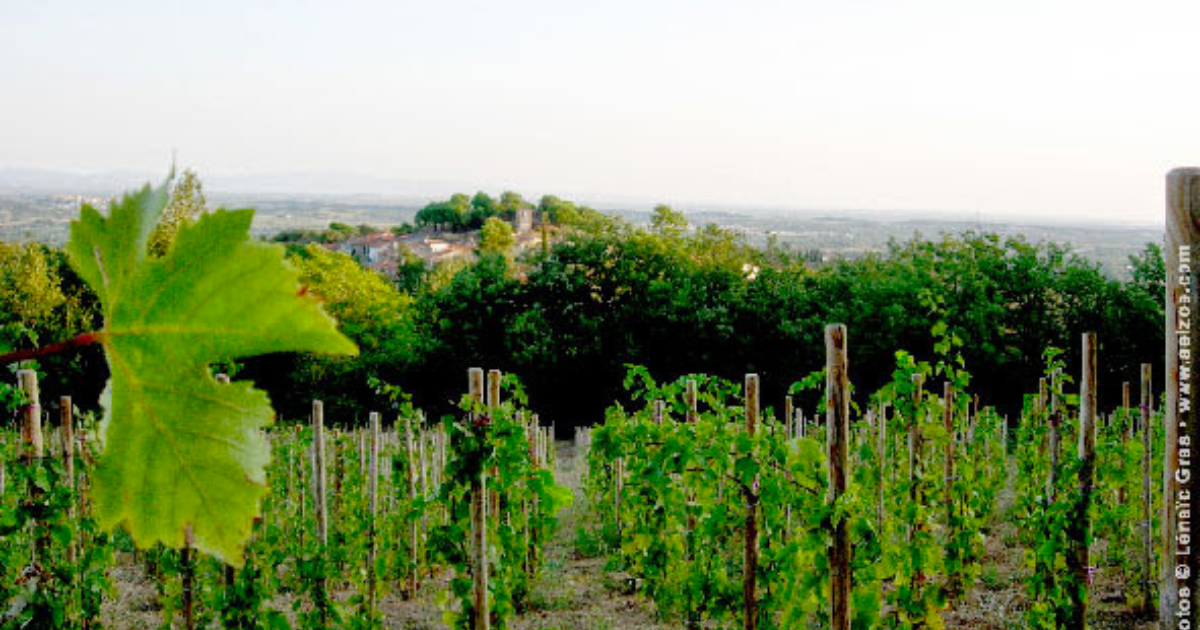 photo de Domaine Moulin de Breuil