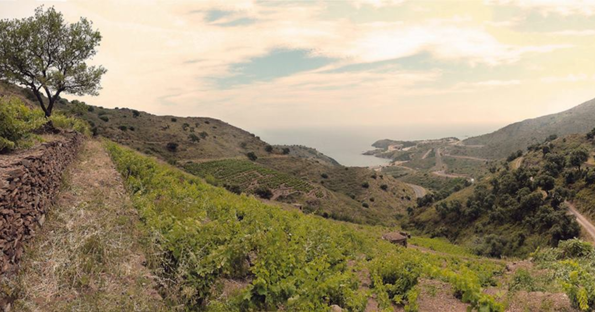 photo de Domaine de la Tourasse