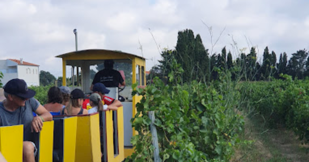 photo de Domaine La Vigne Barbé