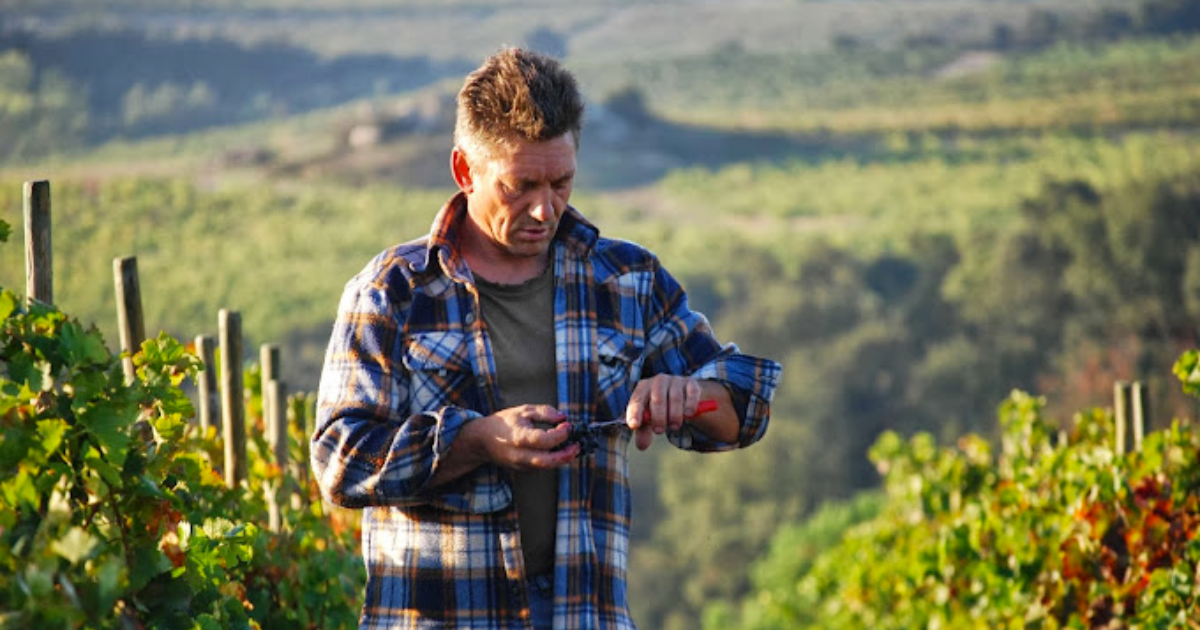 photo de Les Vignerons de Tremoine